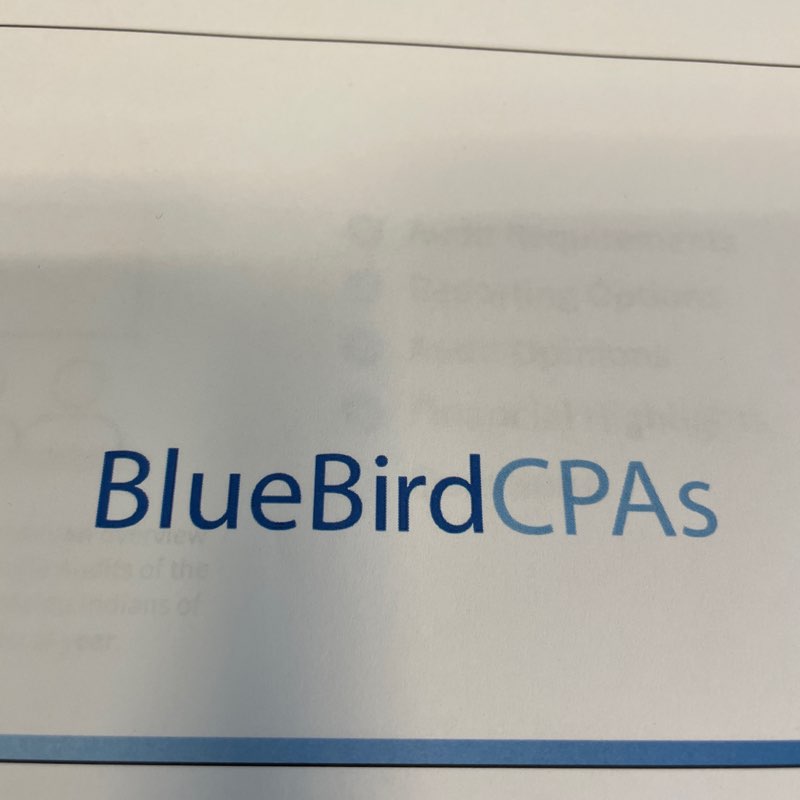 BlueBird CPAs logo
