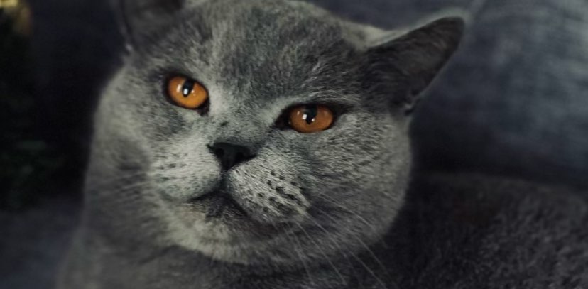 Ради красивой задницы😛 banner