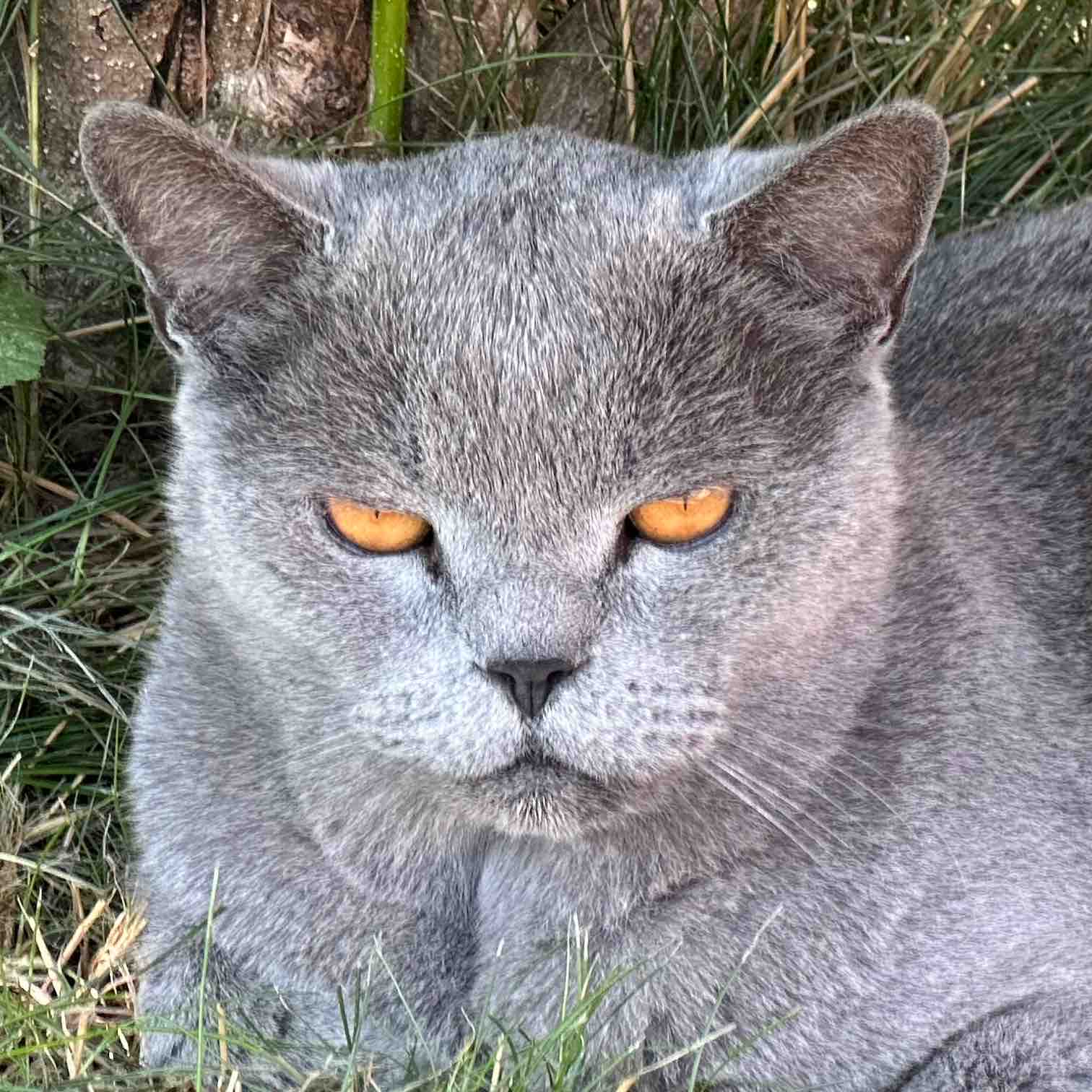 Ради красивой задницы😛 logo