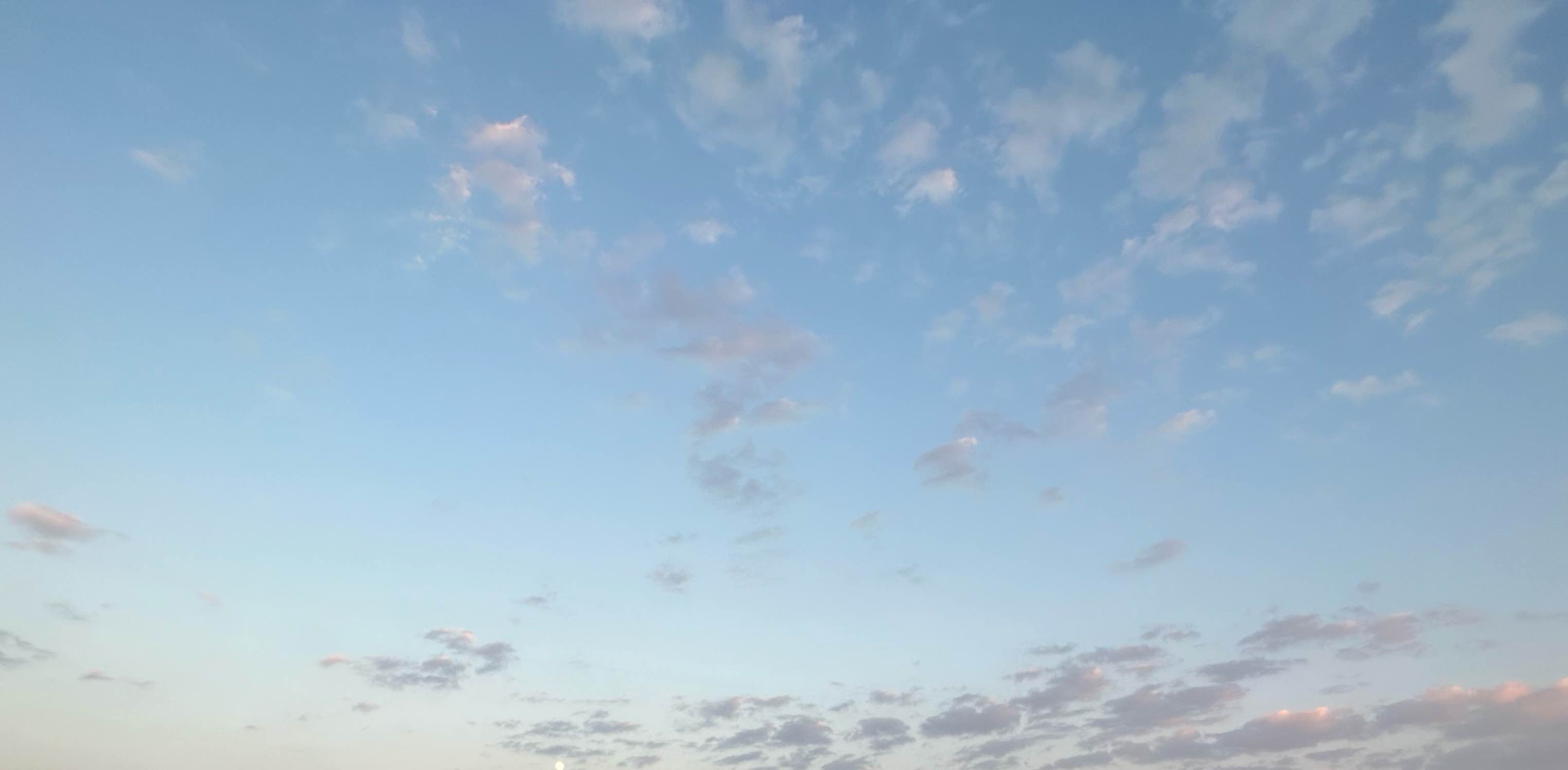 🦜Walking club🦜 banner