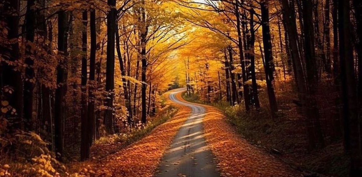 Step challenge with friends banner