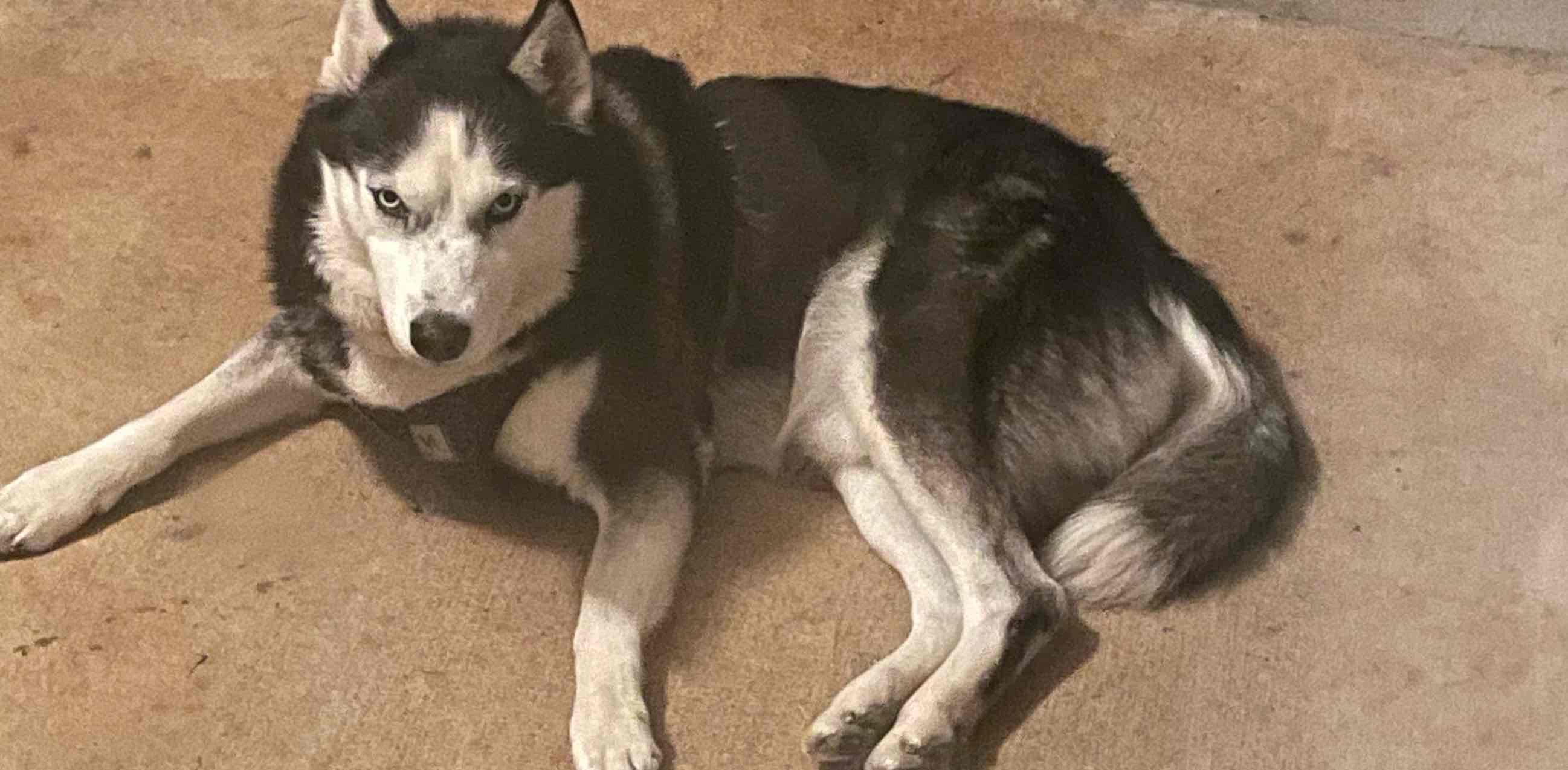 THIS IS SPARTA banner