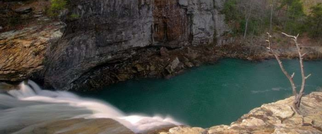 Healthy Steps banner