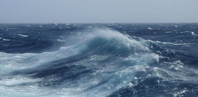 Stay Fit & Stay Fly banner