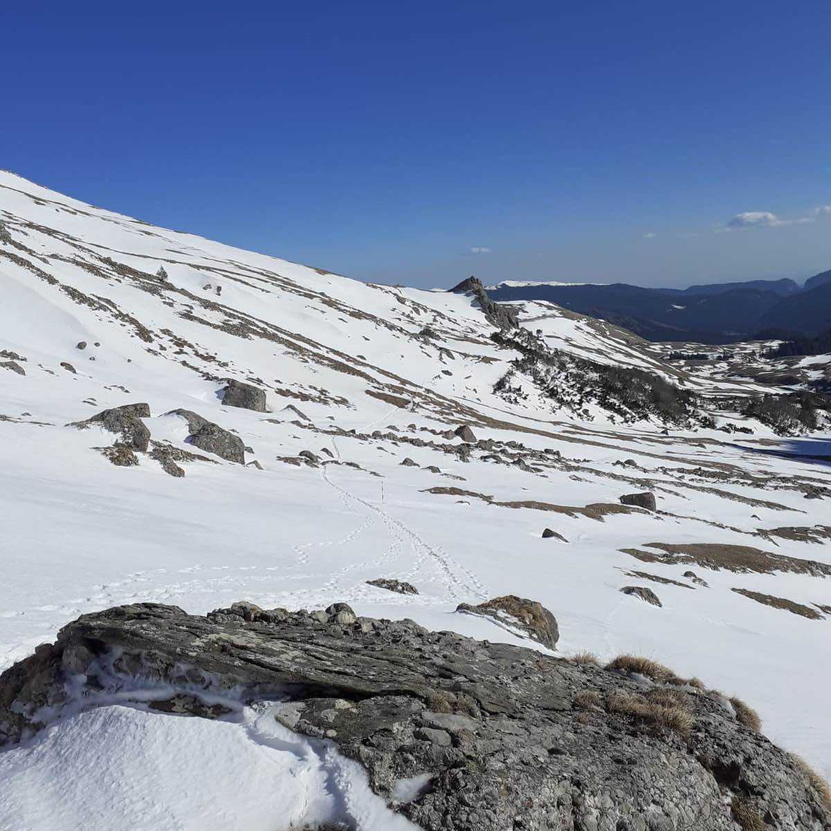 M&G🚶🚶🚶 logo