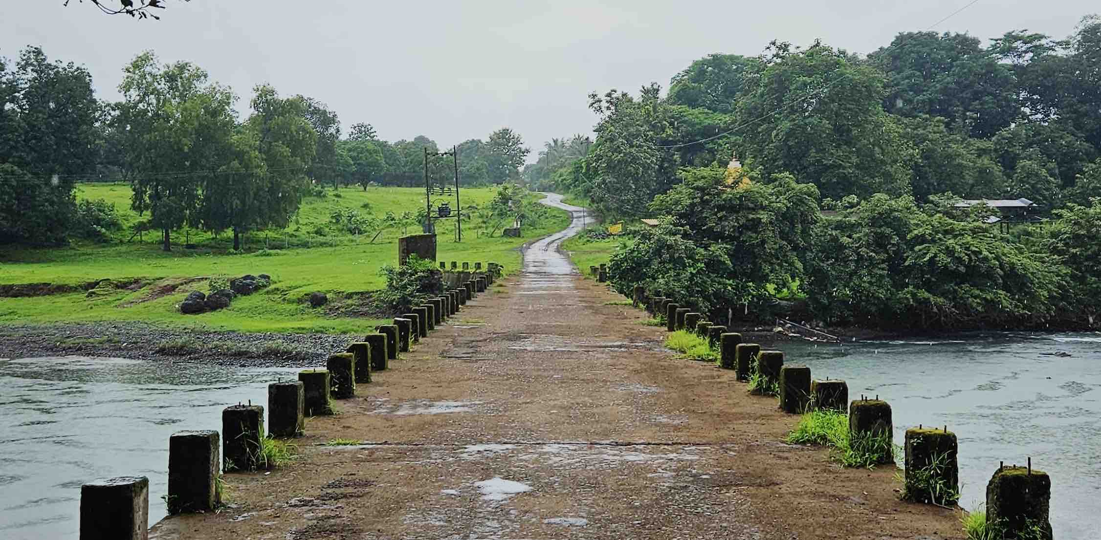 The Strider’s Society banner