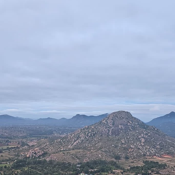 The Strider’s Society logo