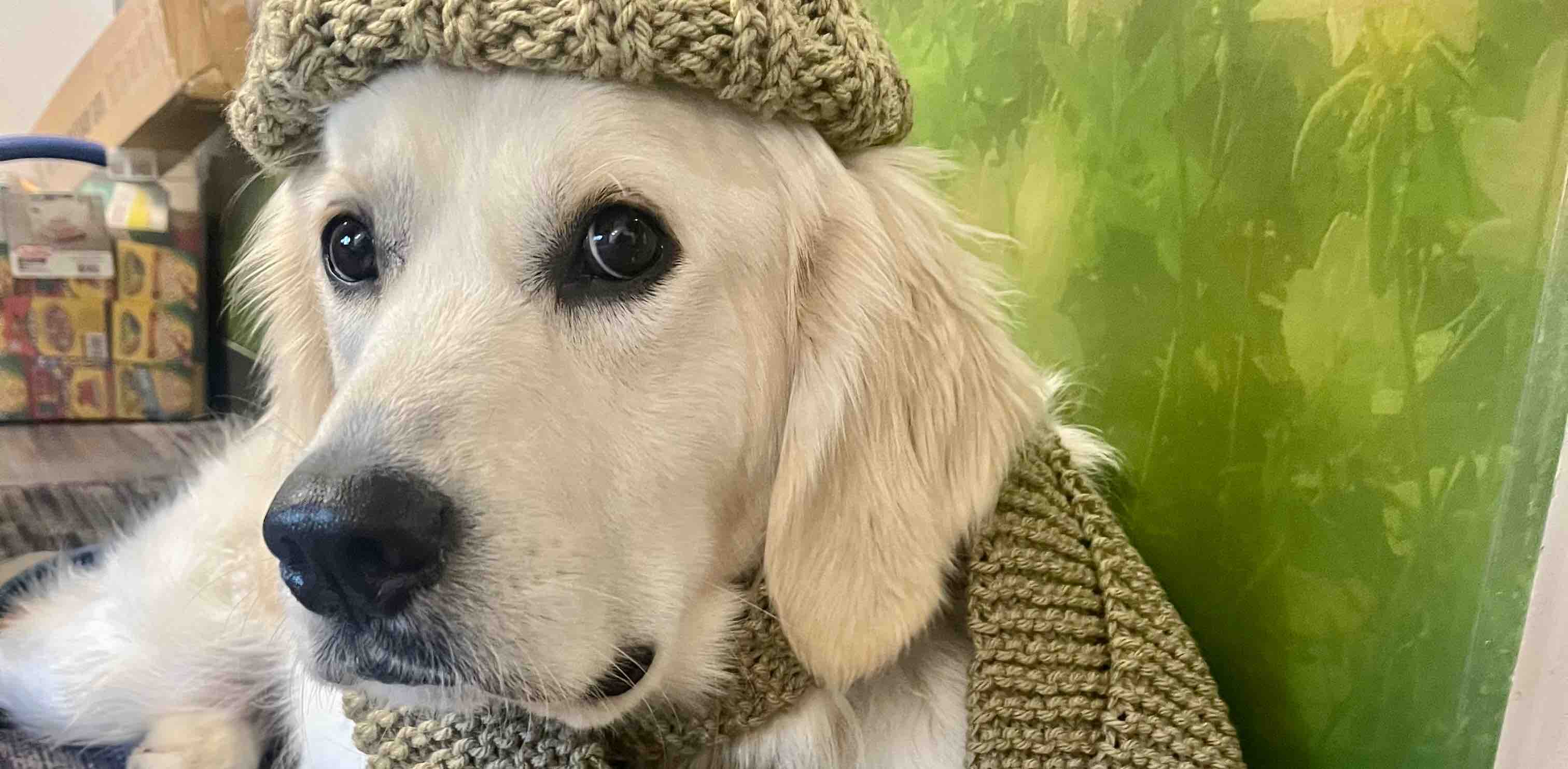 walking group banner