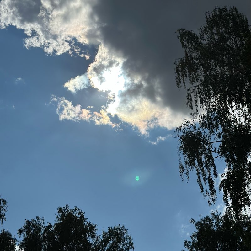 Прогулки Дзержинский logo