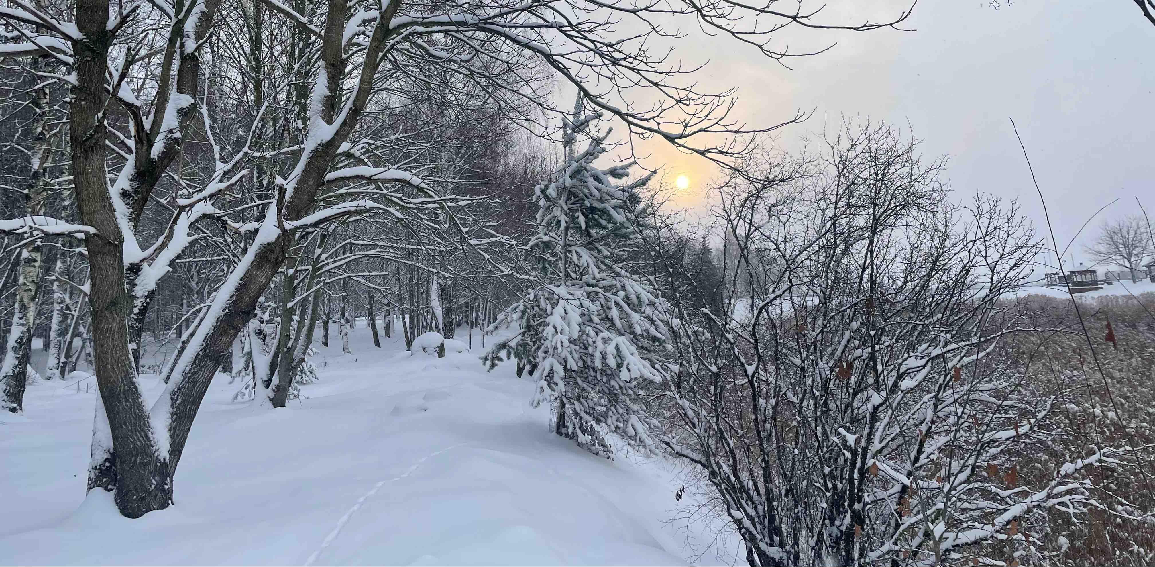 Lietuva juda! banner