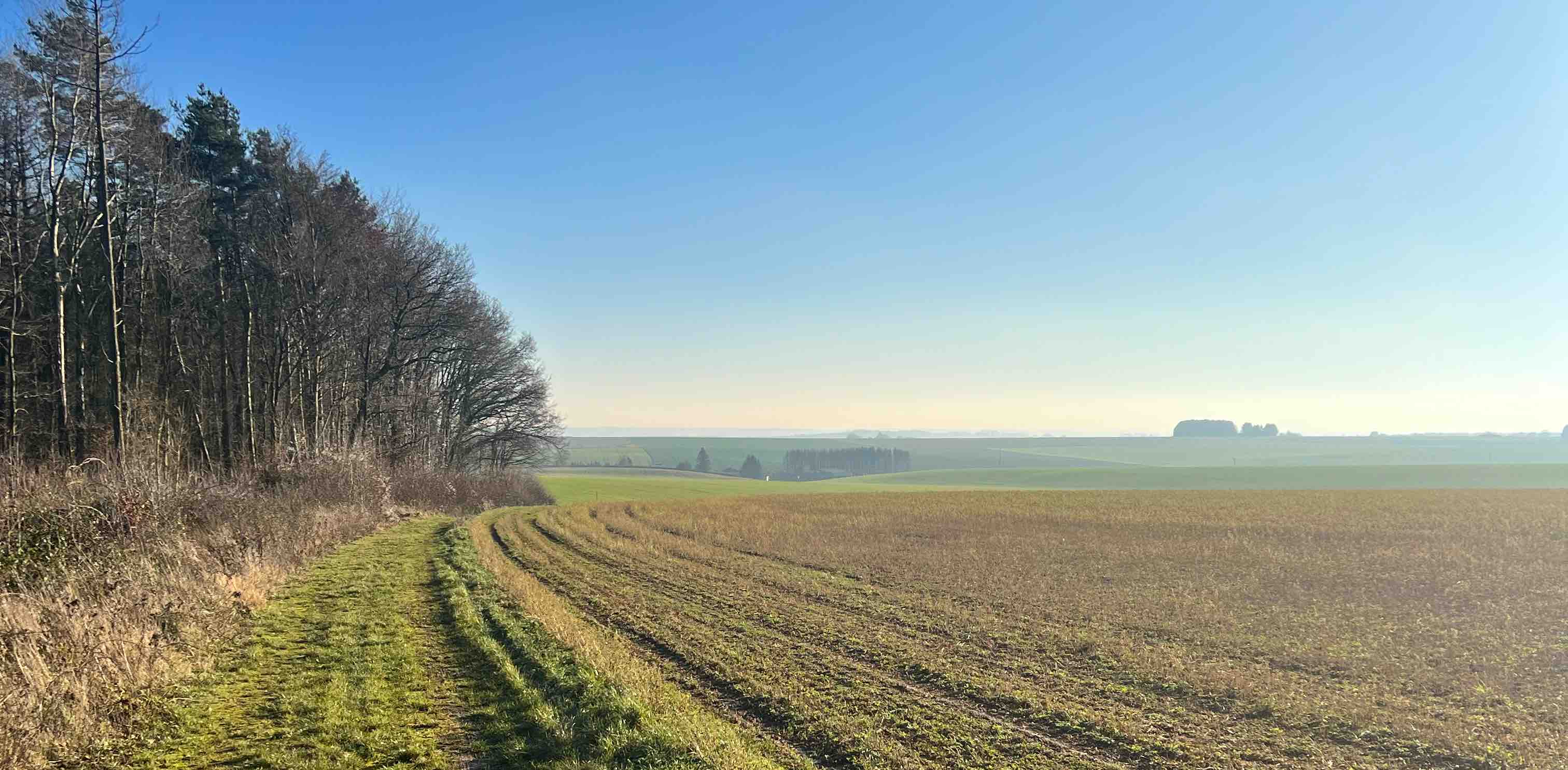 je débute avec la marche! banner