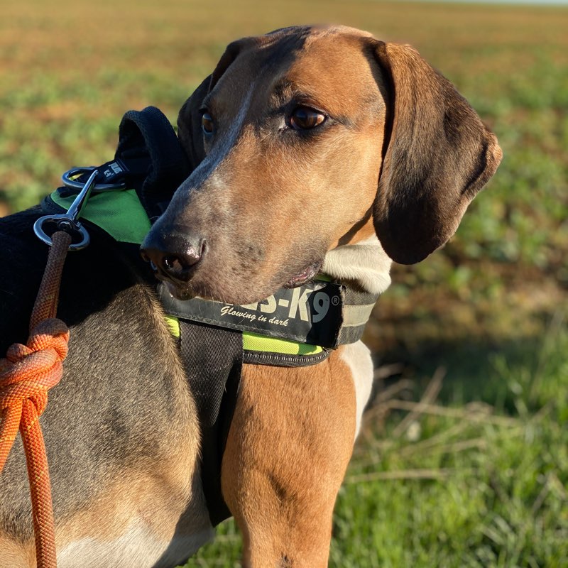 je débute avec la marche! logo