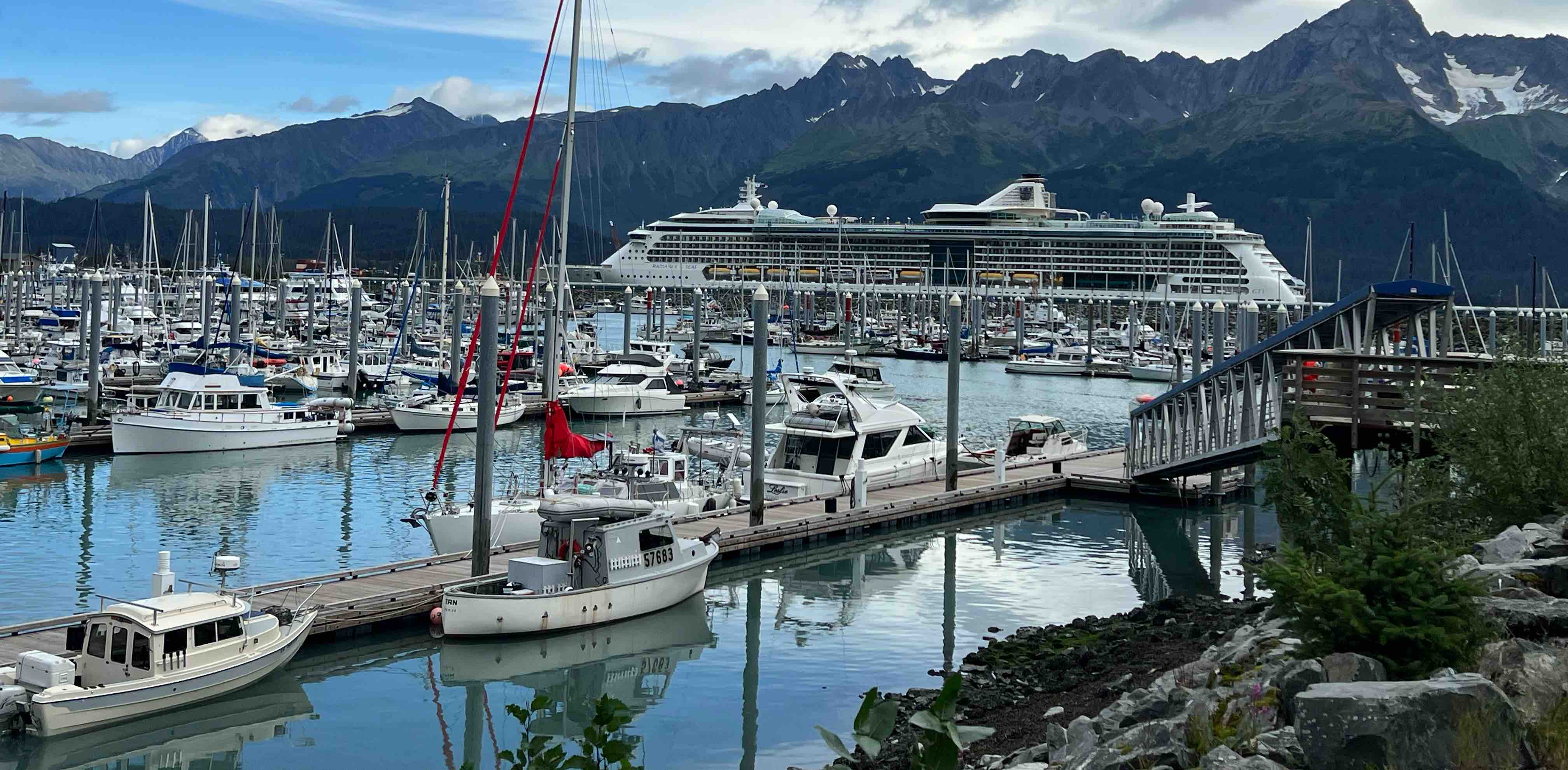 Enjoy Life and Don’t Judge banner