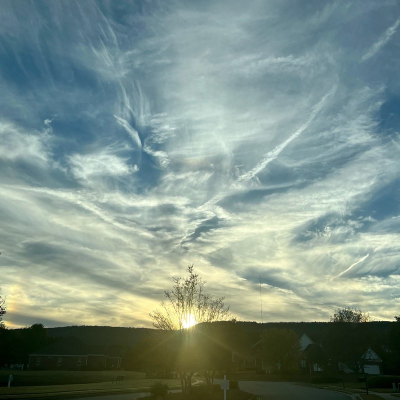 Enjoy Life and Don’t Judge logo