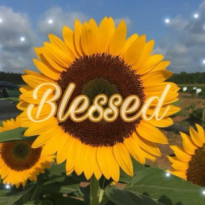 Not Your Average Church Girl logo