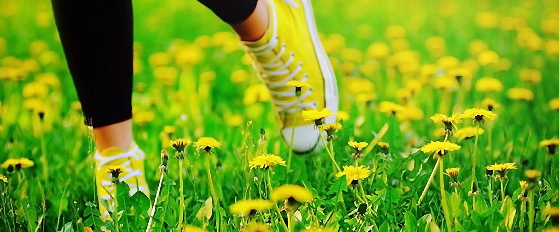 Будь в Форме 💪💪💪 banner