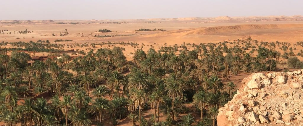 Algeriallengers banner