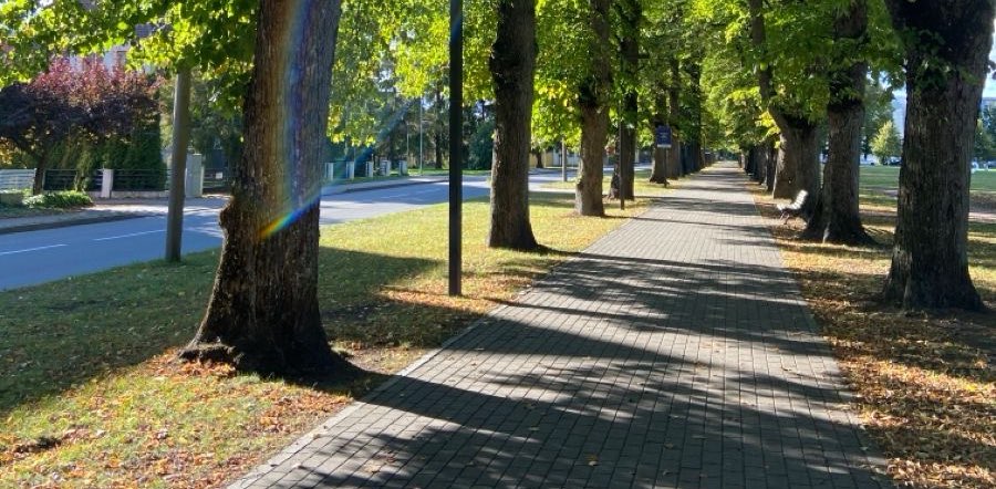 TEAM BIG ENGINE banner