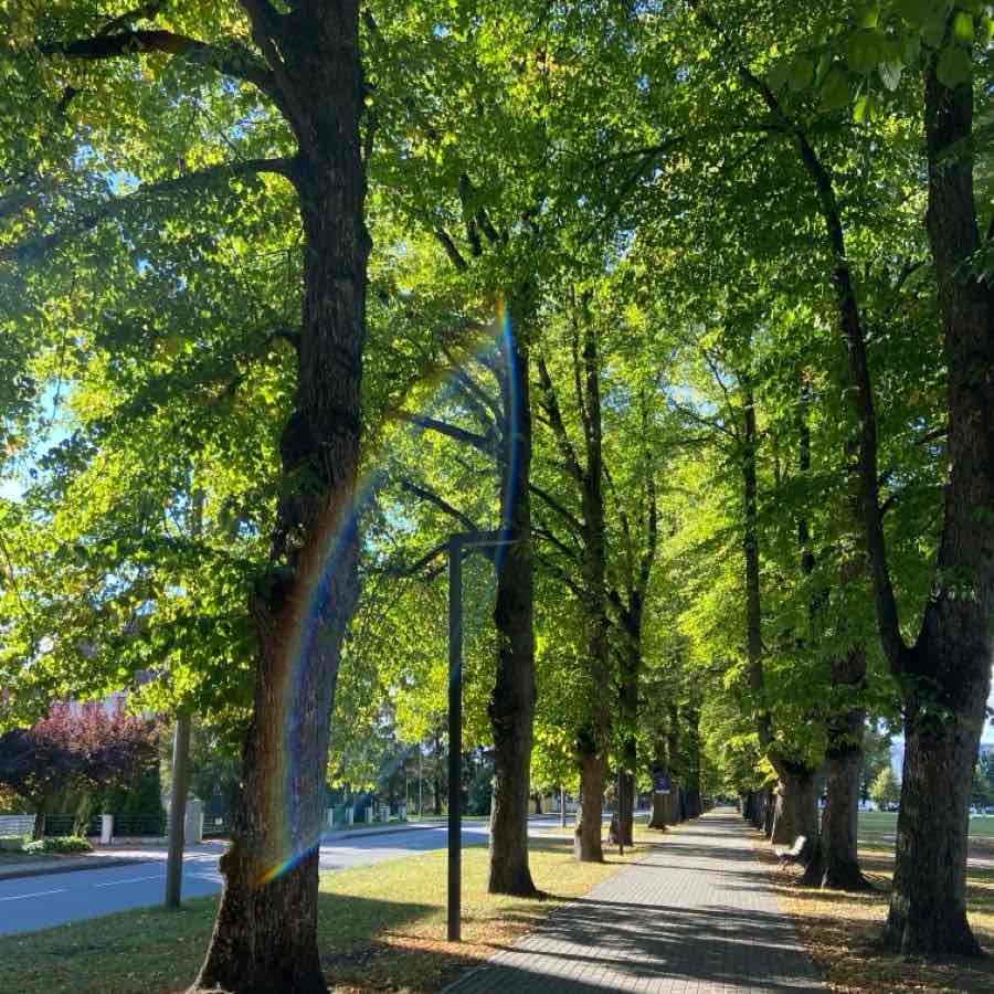 TEAM BIG ENGINE logo