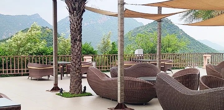 Food - Mind - Activities banner