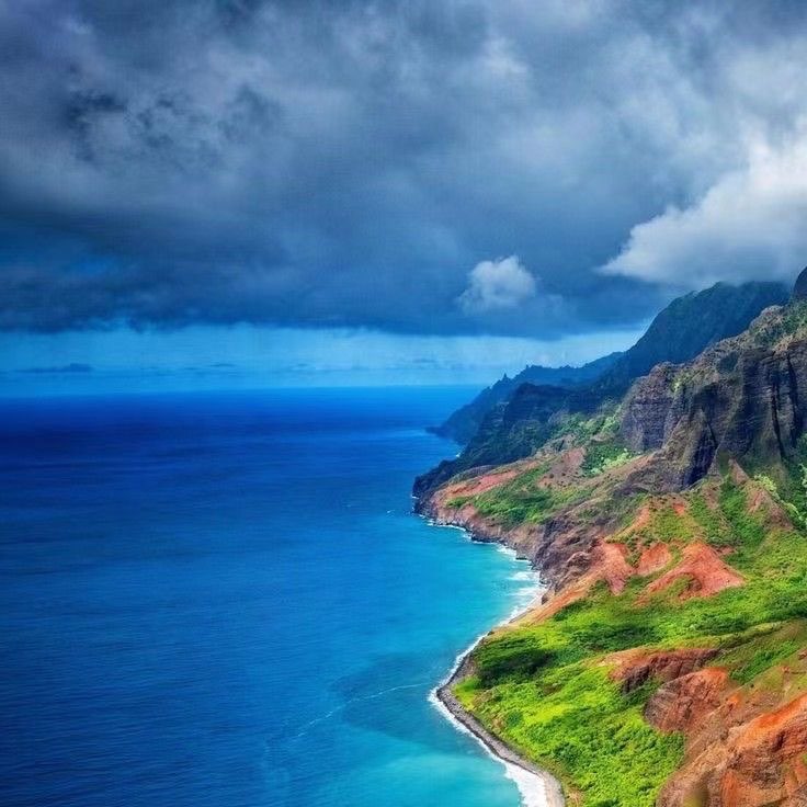 HEALTHY 🍀LIVING logo