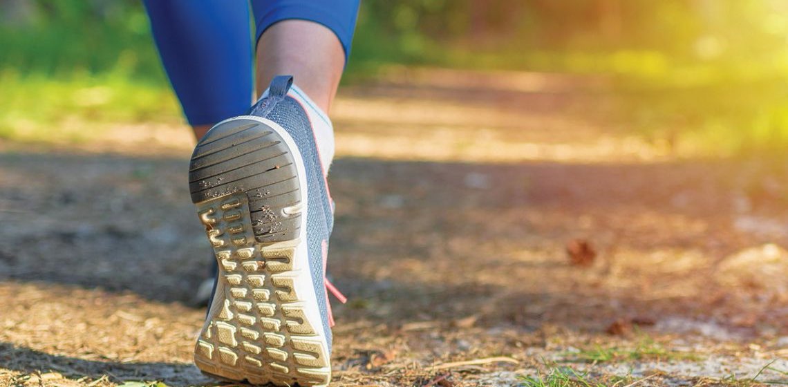 Cuda Globe Trotters banner