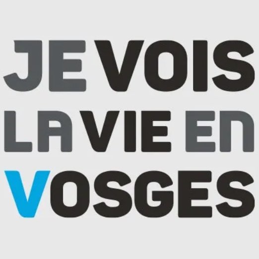 Je Vois la Vie en Vosges logo