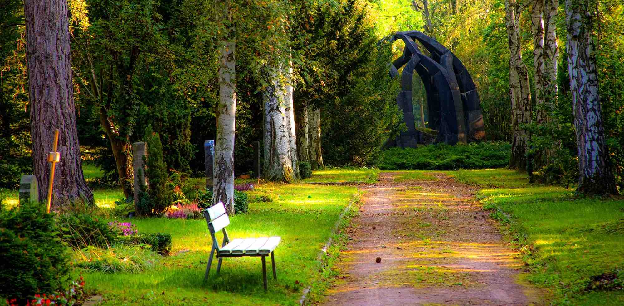 PC - Q2 Step Challenge banner