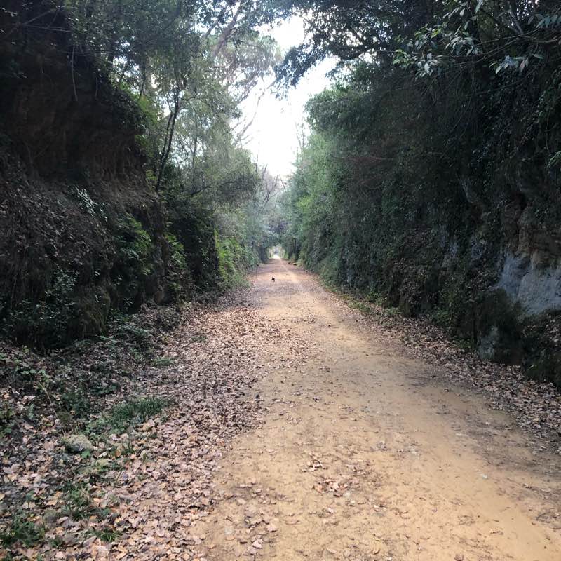 Senderismo en Torrelles logo