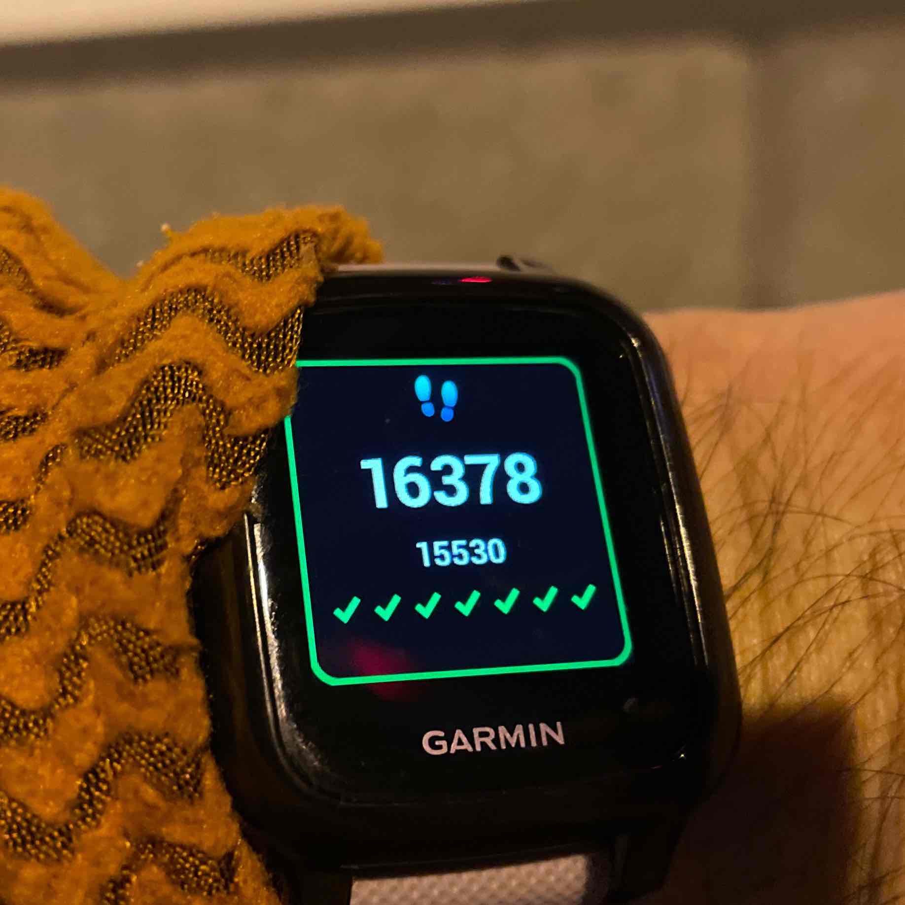 LinkedIn_Walking_Challenge logo