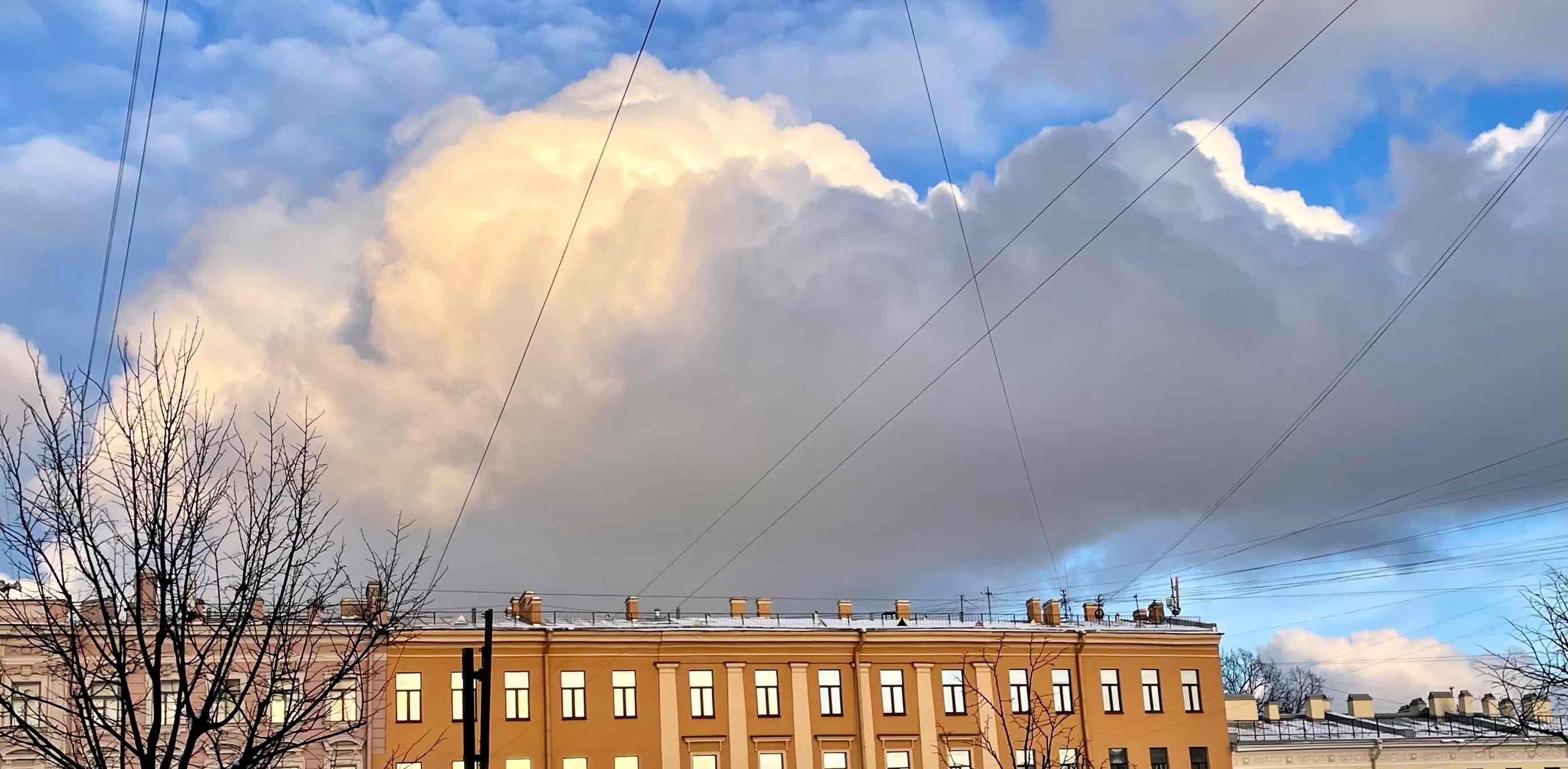 Прогулки в Центре banner