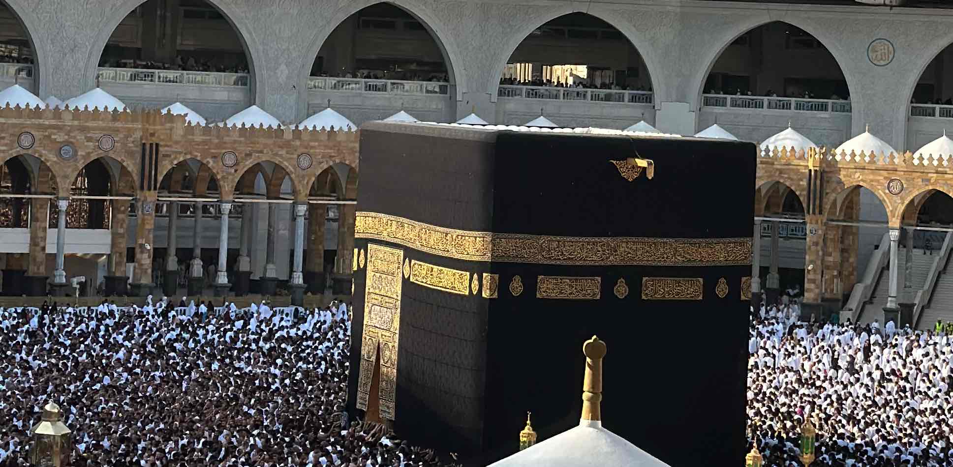 You better walk ! 🪼. banner