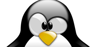 Walky MC Walkers banner