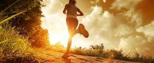 ☀️SYDNEY PACERS☀️ banner