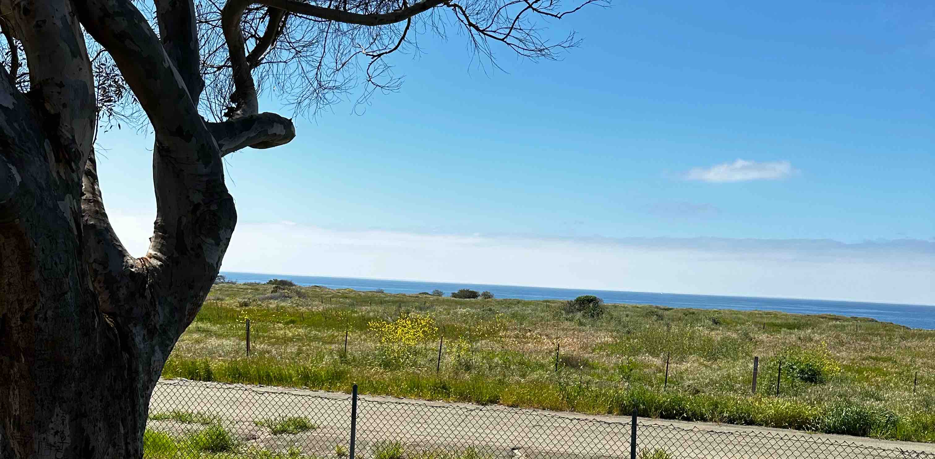 Hot Girl Walking Club banner