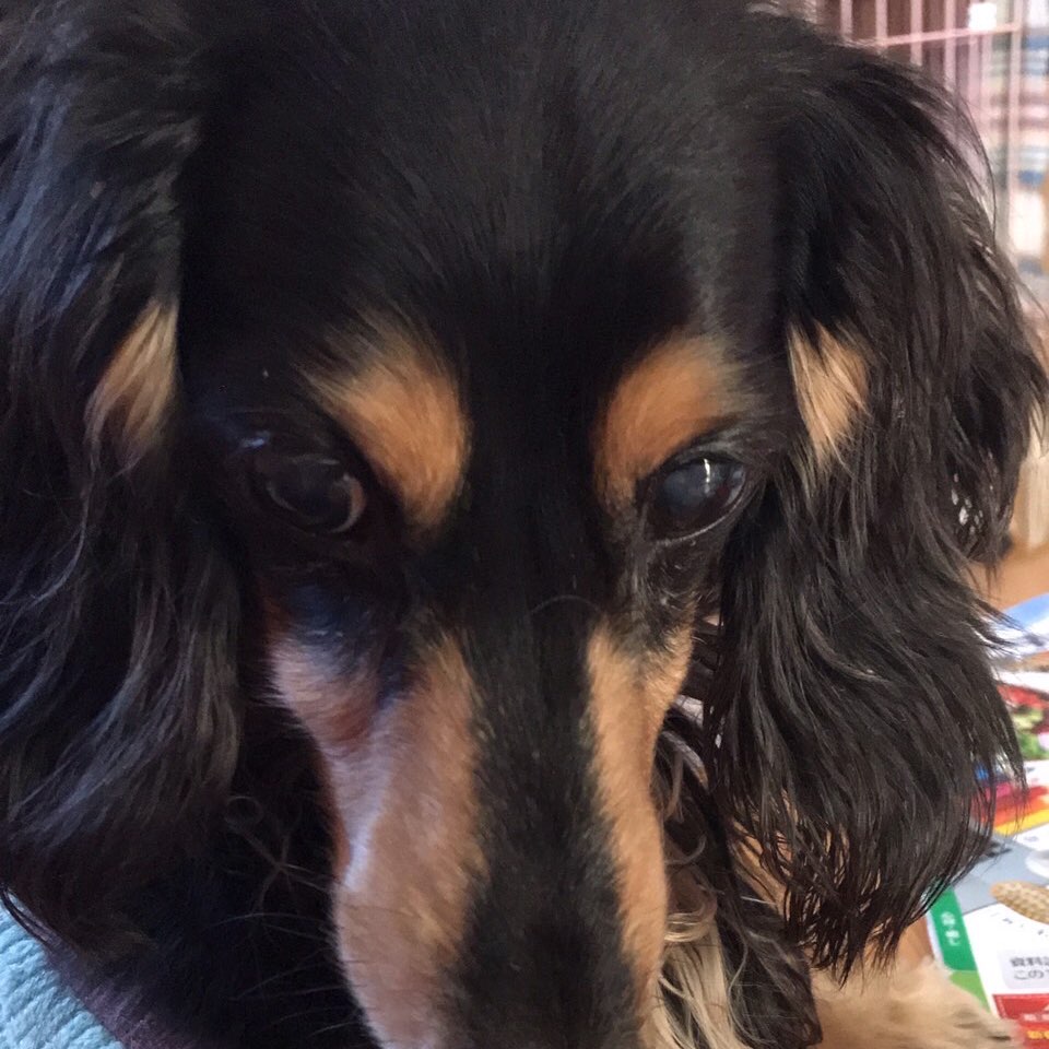 無理せずウォーキング🚶‍♀️❣️ logo