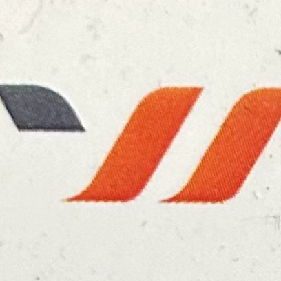 WASEET ELECTRONICS CO logo