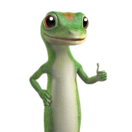 GEICO CAMPUS TA GROUP logo