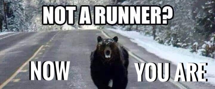 MarcoVsMauroVsSalvo banner