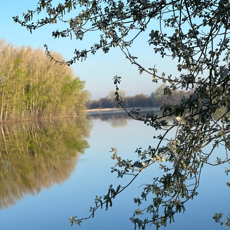 Групповой Коучинг logo