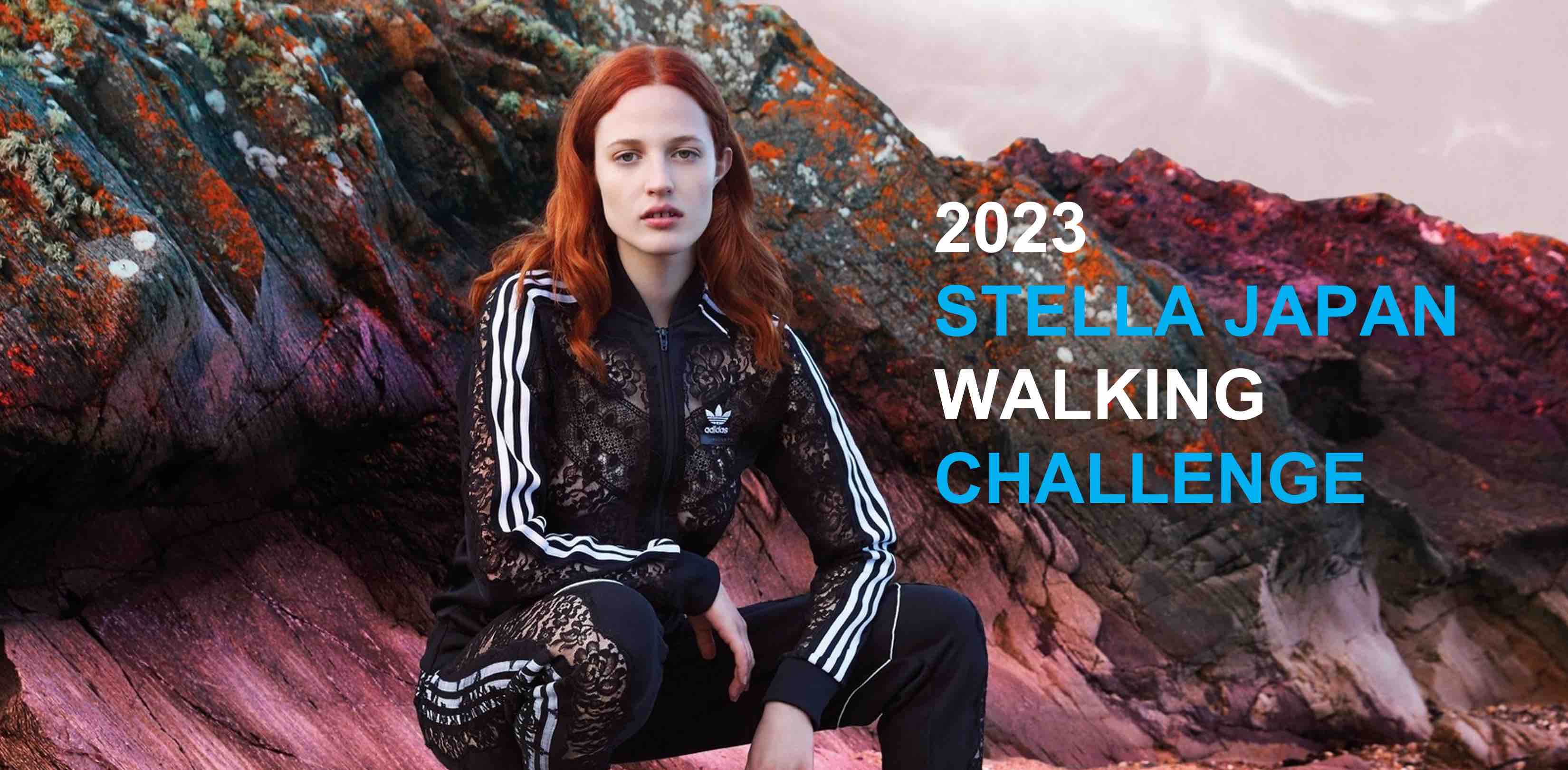 SMCJ 2023c ☺︎ banner