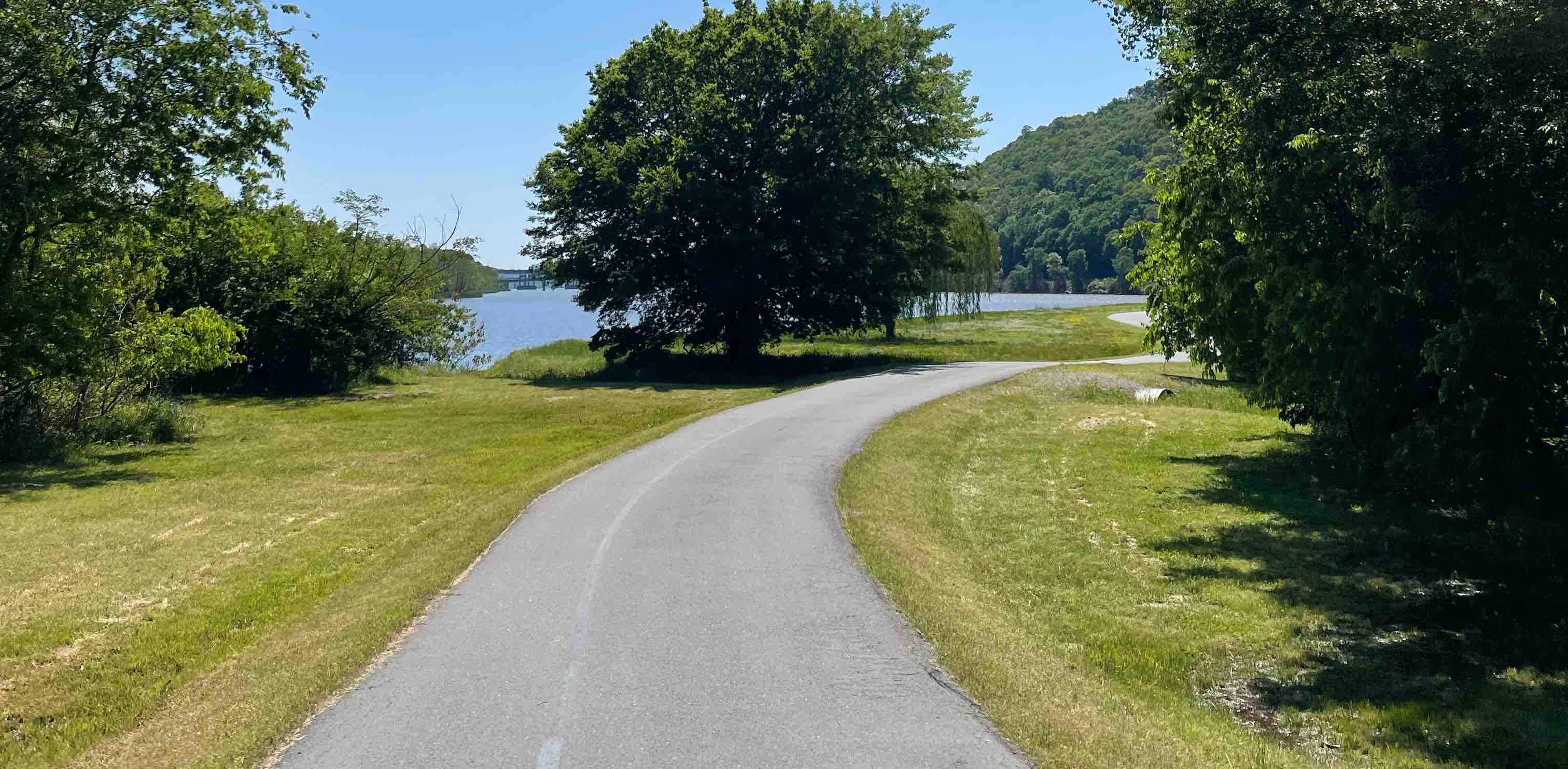 خطواتي صحة banner