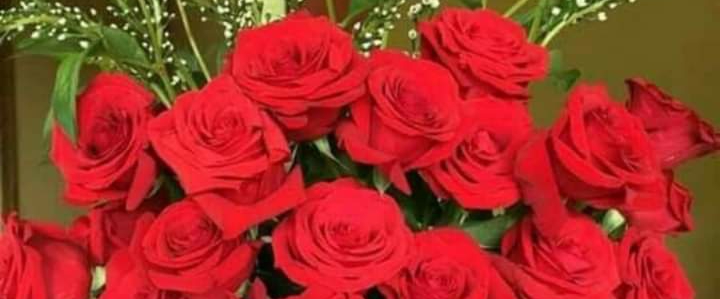 Canadian Walkers banner