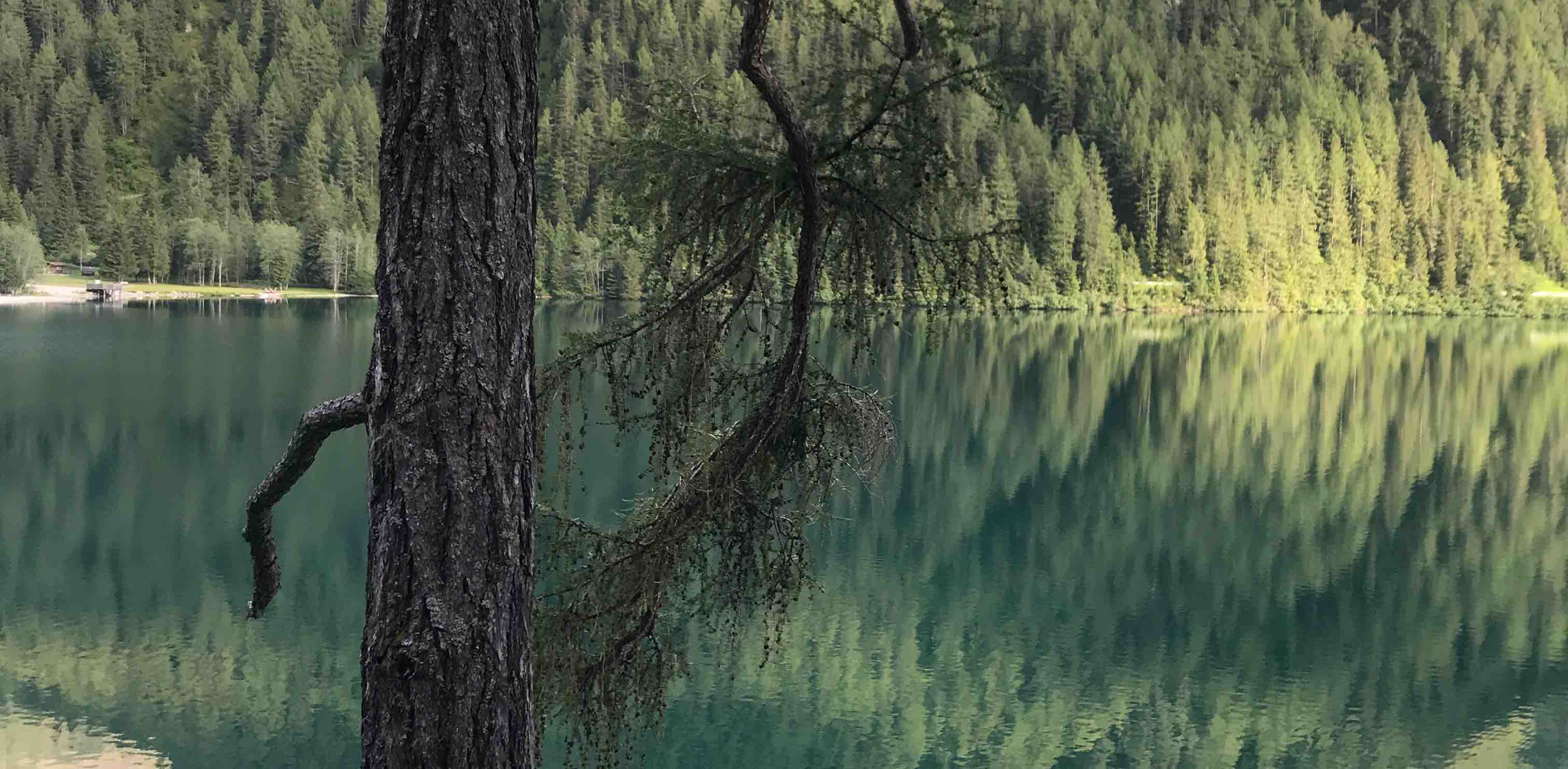 Trentino Alto Adige banner