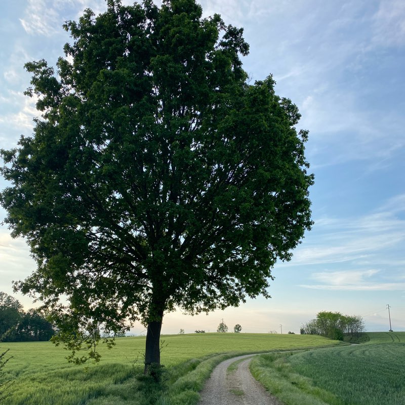 Asti walking group logo