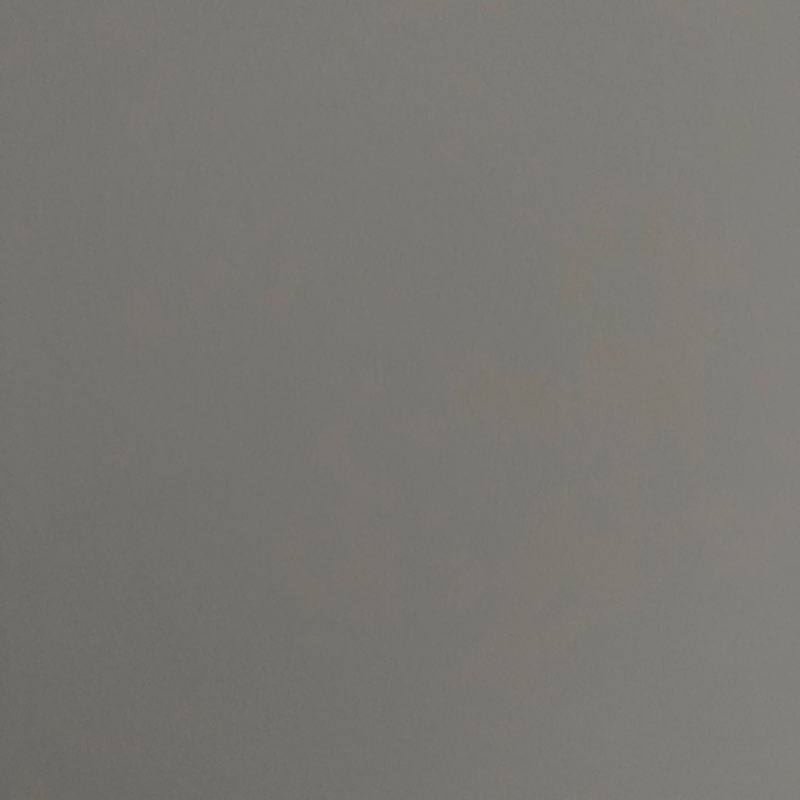 Bangalore Buddies logo