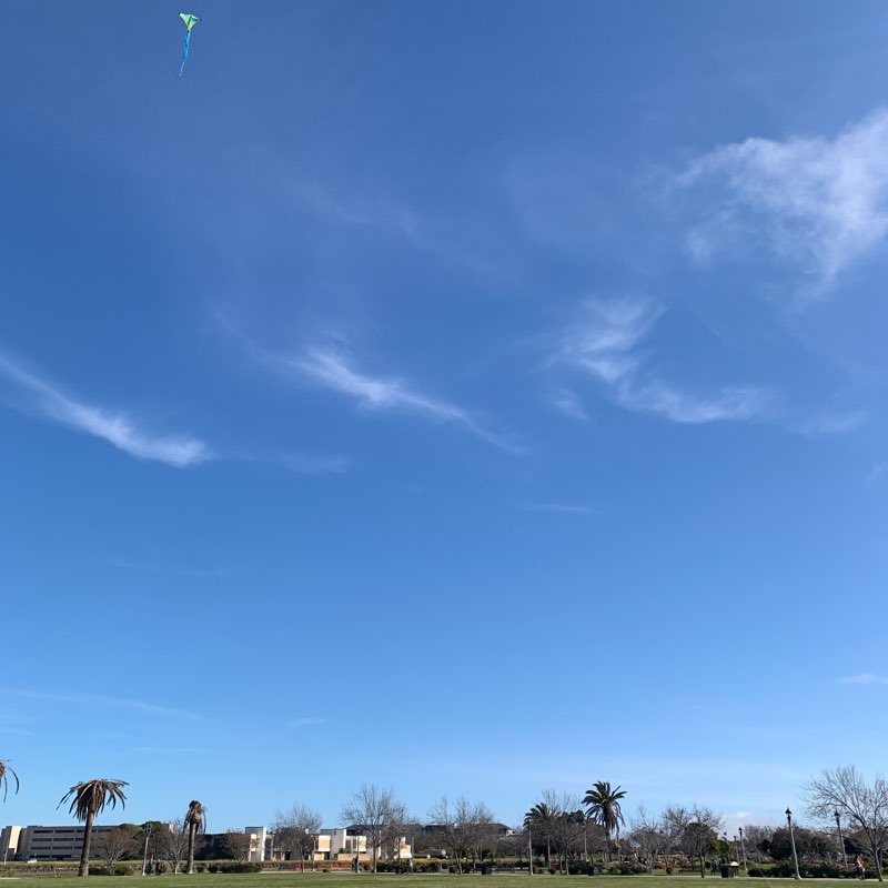 All For One, And One For All logo