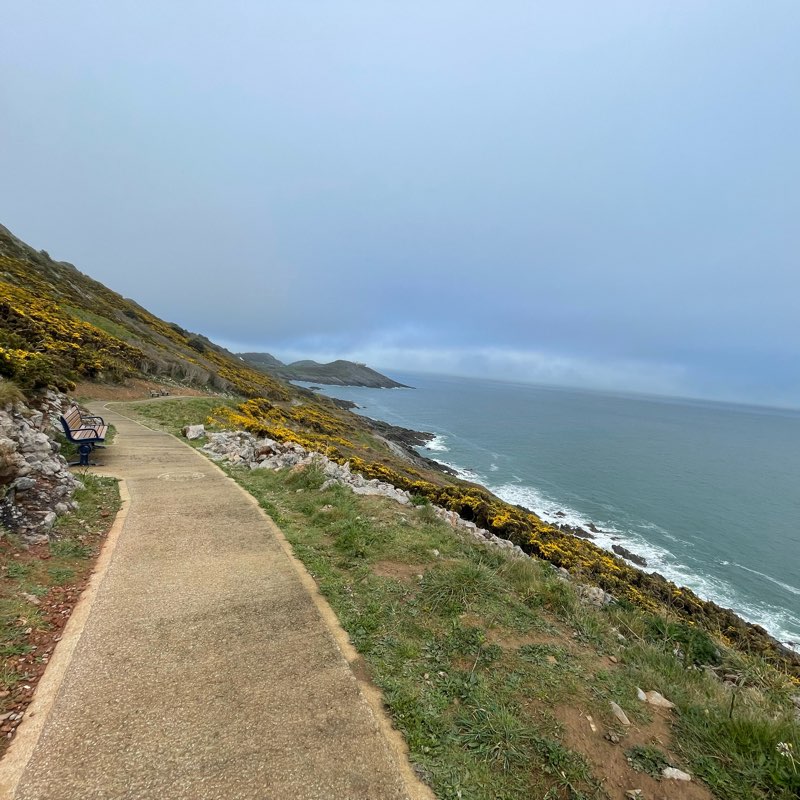 Ghar Steps Count logo