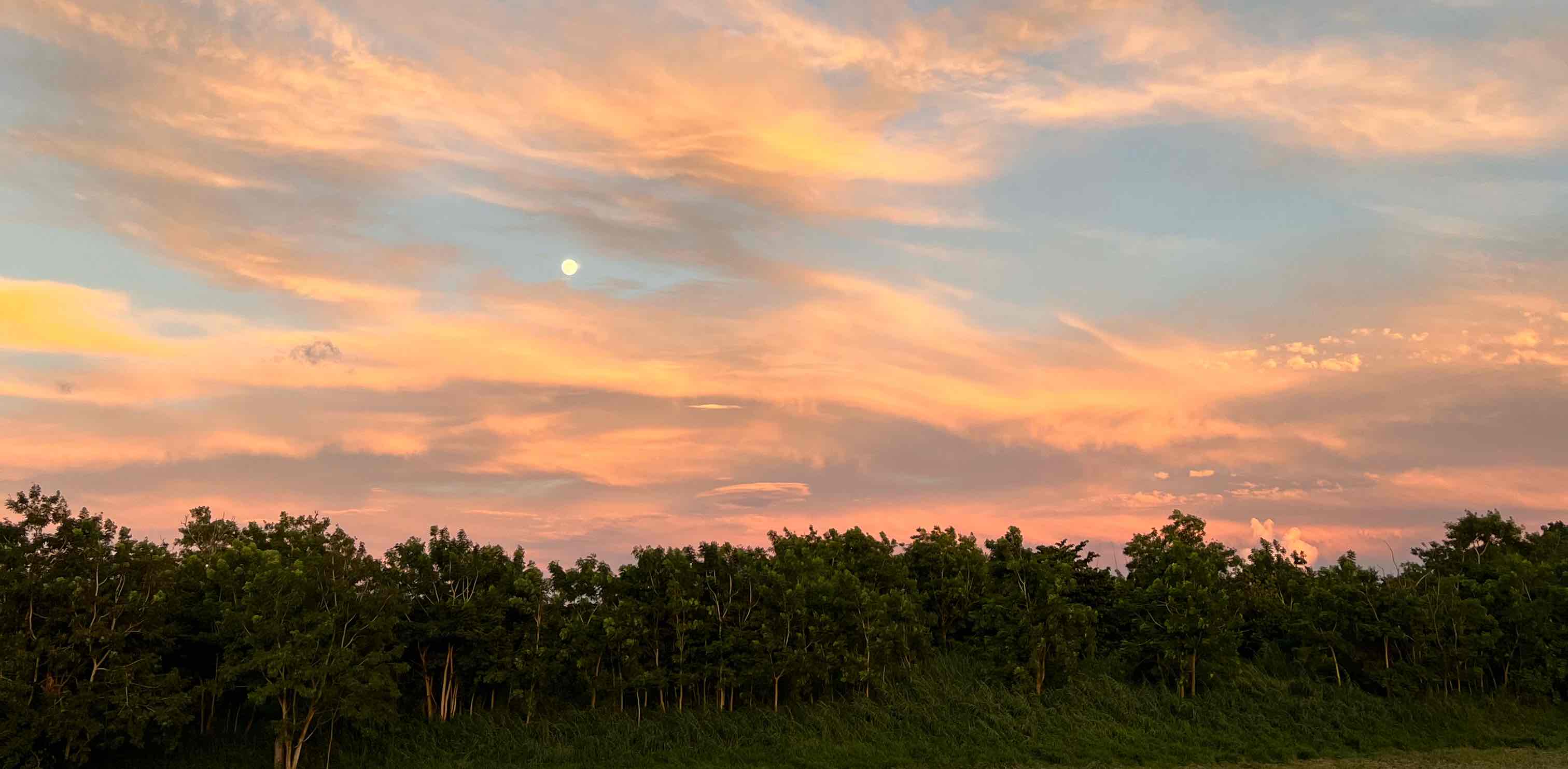 Walkers never fail banner