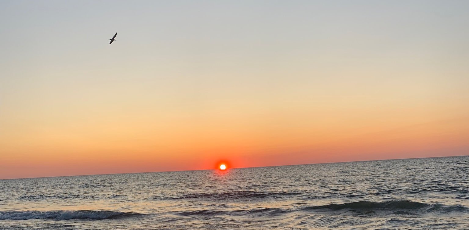 summer steppers banner